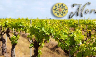 Moravia Wines & Event Venue