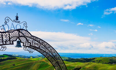 DAOU Family Estates