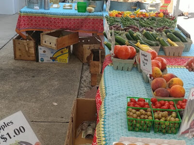 Ormond Beach Farmer's Market