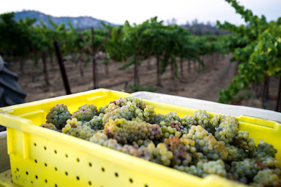 Ramos Torres Winery