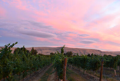 Washington Wine Country