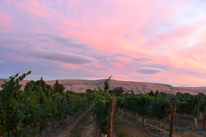 Washington Wine Country