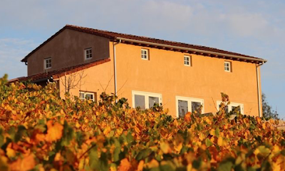 Fog Crest Vineyard