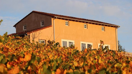 Fog Crest Vineyard