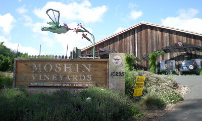 Moshin Vineyards
