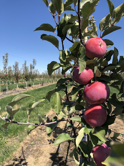 Union Hill Cider Co.