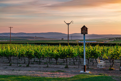 Burke Vineyard