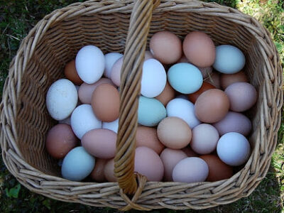 GREENFIELD HILL FARMERS MARKET