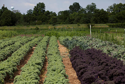 Troy Farm