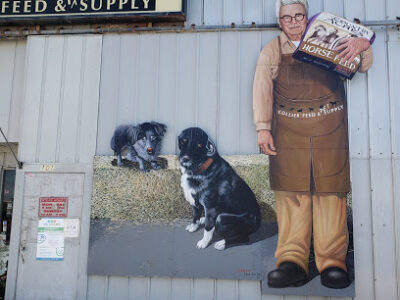 Collier Feed & Pet Supply
