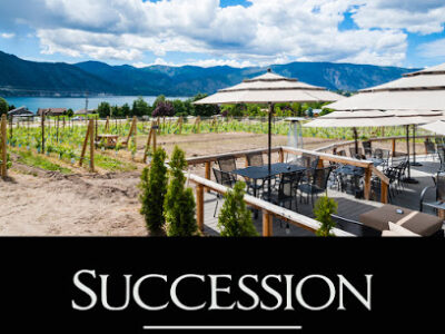 Succession Wines