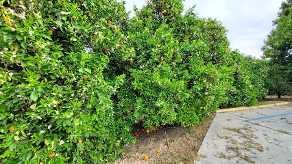 Arnott Farms