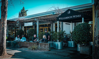 Williamson Wines