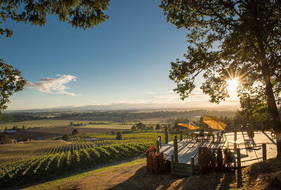 Keeler Estate Vineyard