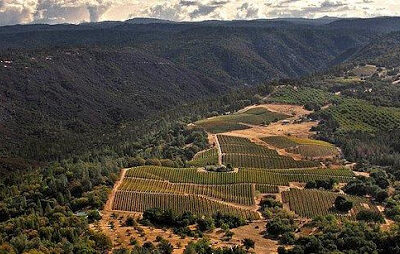 C.G. Di Arie Vineyard & Winery
