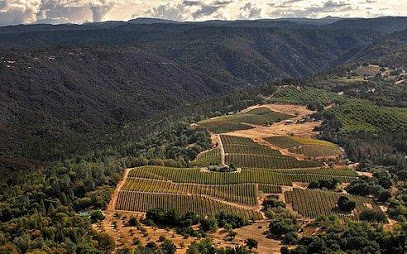C.G. Di Arie Vineyard & Winery