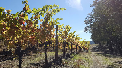 Melim Maacama Creek Vineyards