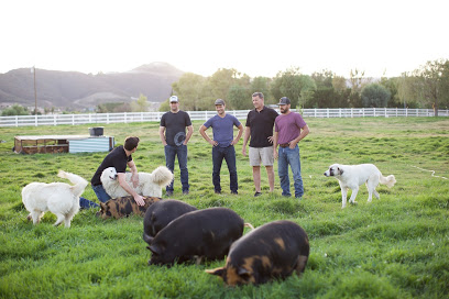 Primal Pastures