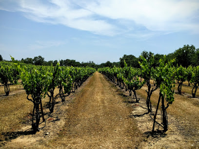 Alysian Wines