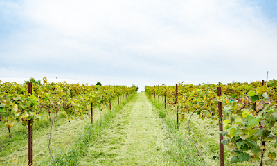 Van Till Family Farm Winery