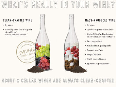 Scout & Cellar at The Wine Agent