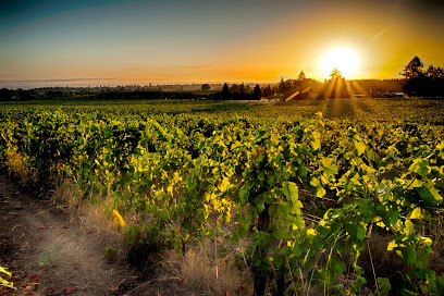 Montinore Estate