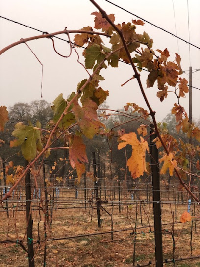 Bangor Ranch Vineyard & Winery