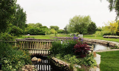 Cold Springs Trout Farm