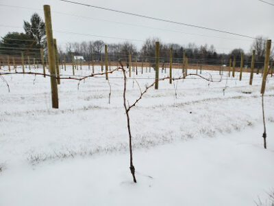 Wind Hill Farms