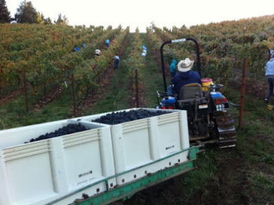 Bravium Winery