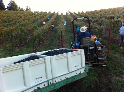 Bravium Winery