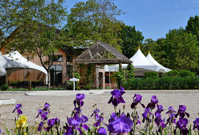 Oxley Estate Winery