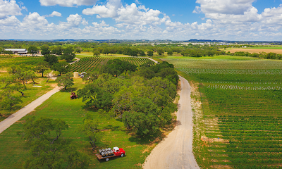 Slate Mill Wine Collective