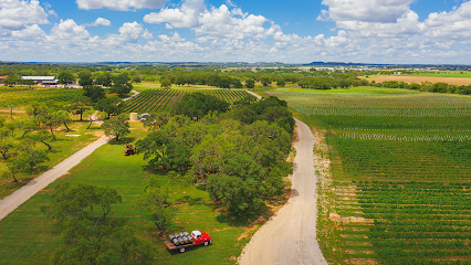 Slate Mill Wine Collective