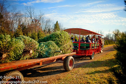 Pioneer Trails Tree Farm