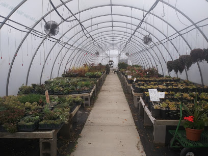 Rufener Hilltop Farms