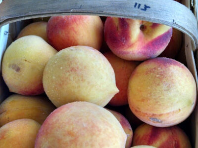Sara's Produce