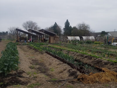 Boggs Tract Community Farm