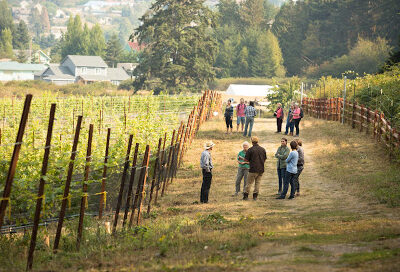 Port Townsend Vineyards
