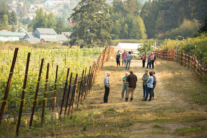 Port Townsend Vineyards