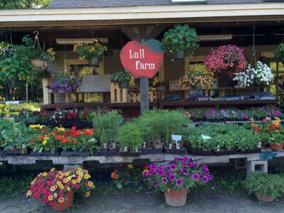 Lull Farm