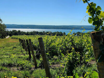 Seneca Lake Wine Trail