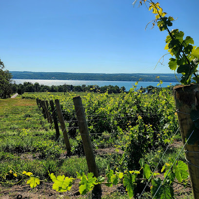 Seneca Lake Wine Trail
