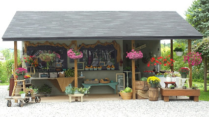 Harvest Moon Produce