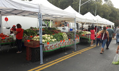 Hayward Farmers Market