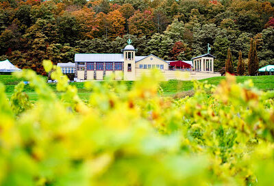 Heron Hill Winery
