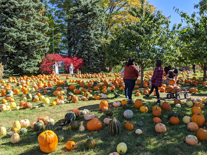 Holman Orchards