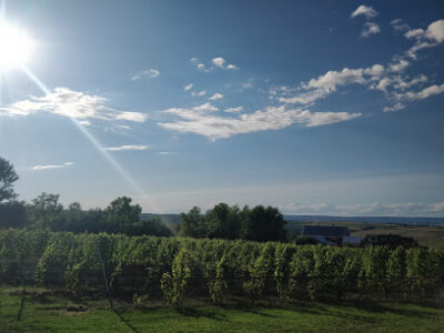 Annapolis Valley