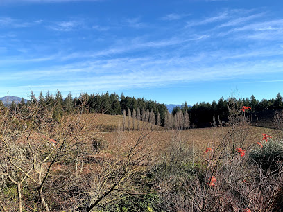 Pezzi King Vinyard and Winery