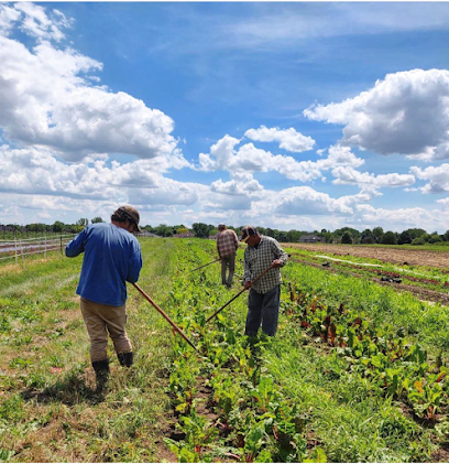 Green Earth Harvest